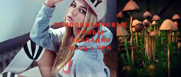 кокс Бородино