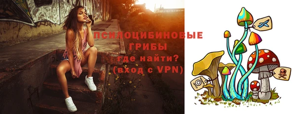 кокс Бородино