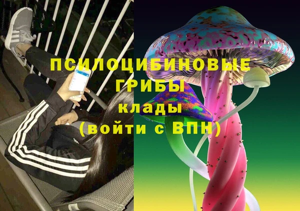 ГАЛЛЮЦИНОГЕННЫЕ ГРИБЫ Бронницы